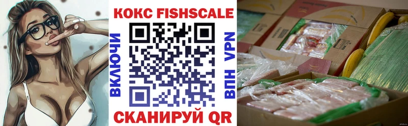 купить закладку  Тулун  COCAIN 99% 
