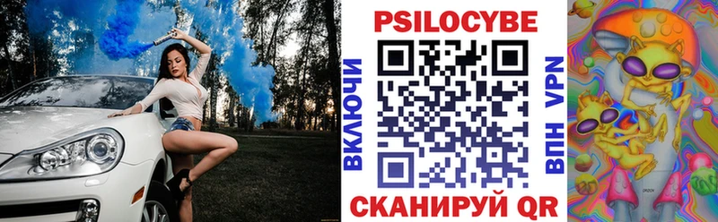 где найти наркотики  гидра ссылки  Псилоцибиновые грибы Psilocybine cubensis  Тулун 